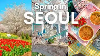 10 Best Cherry Blossom Spots in Seoul 🌸 | Aesthetic cafes, Hangang picnic | Spring in Seoul VLOG