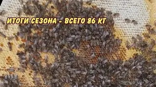 пчеловодство, итоги сезона всего 86 кг