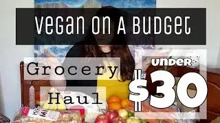 Vegan Grocery Haul | $30 Weekly Budget