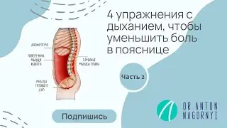 4 упражнения с дыханием, чтобы уменьшить боль в спине