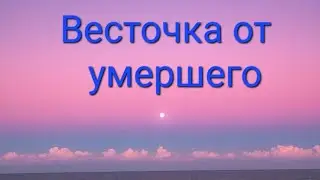 🕊🕊Весточка от умершего, от ушедшей в мир иной Души ✨️ ✨️