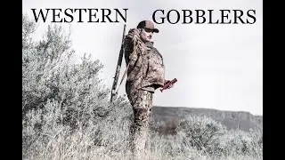 WESTERN TURKEY HUNTING - Public Land Gobblers | 4K |