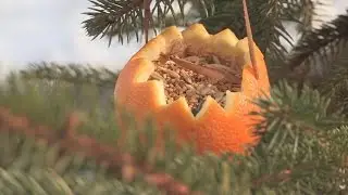 Учимся делать кормушку, мастерить которую под силу даже медведю