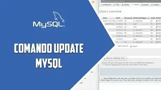 MYSQL – Consultas de actualización – Video 21