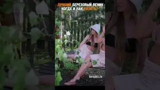 Когда готовить веники для бани? #березовыйвеник #баня