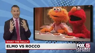 What the Hall: Elmo vs. Rocco