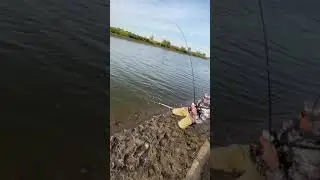 Щука на колебалку 