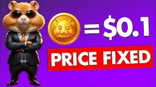 Hamster Kombat 🚀 How Much Profit Can You Really Make? 🐹 $1,000+ or Just Hype? 💰