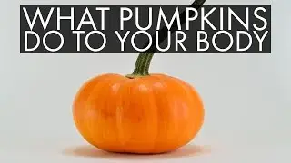 Pumpkin Nutrition: 5 Things You Do Not Know