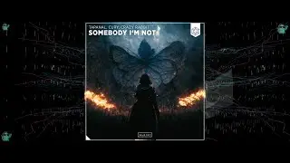 Somebody I'm Not - TAPANAL, CURY, CRAZY RABBIT - Music Visualization - Trippy - 4K