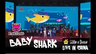 Baby Shark - Live@ New Year Show - PinkFong Song - Mike's Home