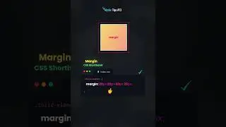 Mystic Tips #13: CSS Margin and Padding 📌🧙‍♂️