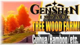 Tree Wood Farm Cuihua/Pine/Bamboo/ etc. (FAST!) | Genshin Impact | [Farming Guide]