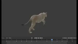 BLENDER 2.93 проба бега львицы