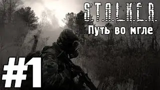 Прохождение S.T.A.L.K.E.R Путь во мгле[Обязательно к просмотру!=)]#1