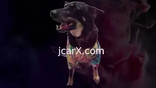 Optimize Images HTML CSS JS