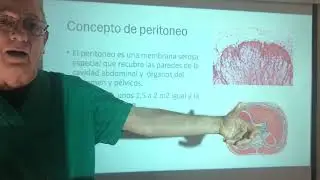 El Peritoneo( parte 1) origen y topografía. Física de las serosas. Ligamentos y pliegues