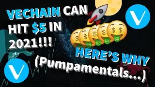 WHY VECHAIN CAN HIT $5 IN 2021!!! (Pumpamentals...)