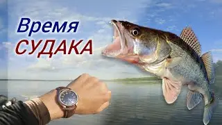 Время судака. Саратов. Платная рыбалка. Гайдинг