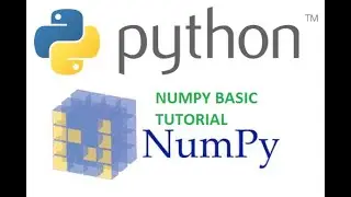 Python Numpy Array 