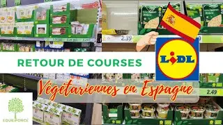 Retour de courses végé chez LIDL en ESPAGNE (petit budget)