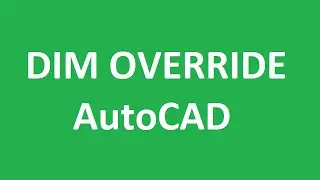 How to override dimension settings in AutoCAD