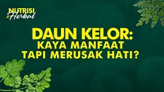 Daun Kelor untuk Penderita Diabetes, Radang Sendi, dan Berbagai Penyakit | Nutrisi & Herbal #27