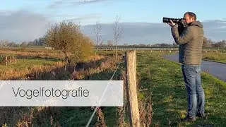 Vogelfotografie