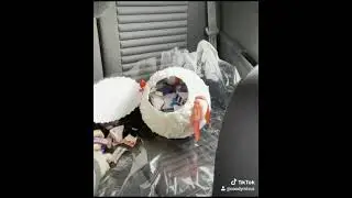 Большой Рафаэлло свойими руками.