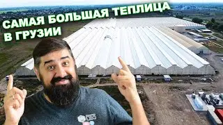 Самая Большая Теплица в Грузии и Альтернативная энергетика