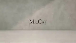 Flexível e confortável, conheça a tecnologia do Air Cat da Mr. Cat!