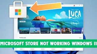 microsoft store not working windows 11
