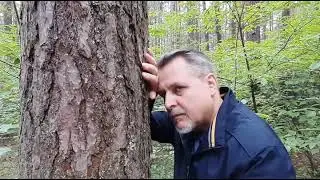 Анатолій Матвійчук 