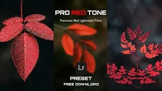 Pro Red Tone Lightroom preset Free download | Lightroom Mobile Tutorial | DNG Free Download