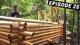 Building A Log Cabin | Ep. 25 | The quickest notching technique | The walls are HALFWAY up!