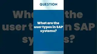 What are the user types in SAP?