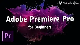 EVERYTHING You Need to Know in Adobe Premiere Pro for Beginners - Start Editing in 15 MINUTES!