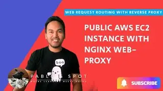 Infrastructure Code for Public AWS EC2 Instance with NGINX web proxy in Docker