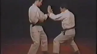 Вадо рю каратэ.Wado-ryu karate.Kumite