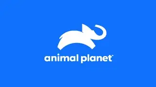 Заставки И Анонсы (Animal Planet 01.08.2024 13:13)