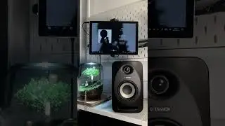 TANNOY 天朗 REVEAL 402纯享试听版