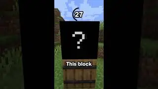 Guess the Minecraft block in 60 seconds 3