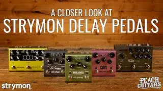 A Closer Look At Strymon Delay Pedals