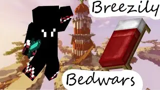 Hypixel Bedwars, but I can ONLY Breezily Bridge