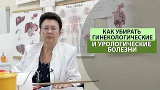 КАК УБИРАТЬ ГИНЕКОЛОГИЧЕСКИЕ И УРОЛОГИЧЕСКИЕ БОЛЕЗНИ.