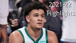 BEST PLAYS of Josh Green | 2021-22 Highlights