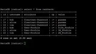 MikroTik with FreeRADIUS: User Profile Configuration