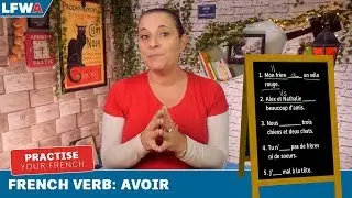 Practise your French verb AVOIR (TO HAVE)