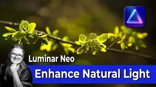 How to Enhance Natural Light with Sunflares & Bokeh Overlays NEW
