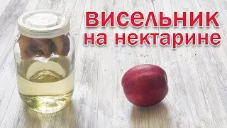 Облагораживаем Самогон!!! Настойка 